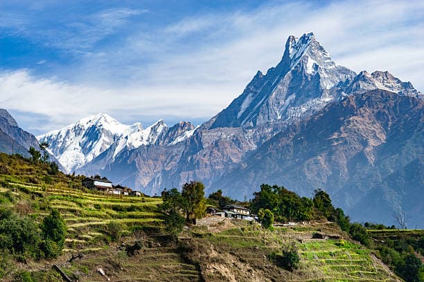 tripmate image