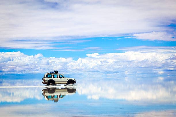 tripmate image