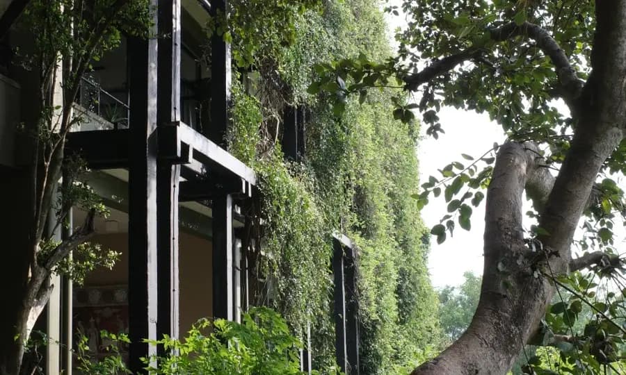 스리랑카 헤리턴스 칸달라마 호텔 후기 Heritance Kandalama Hotel