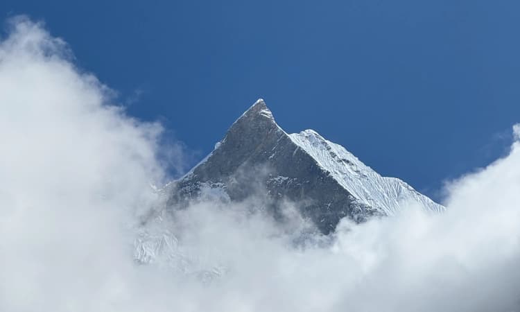 tripmate image