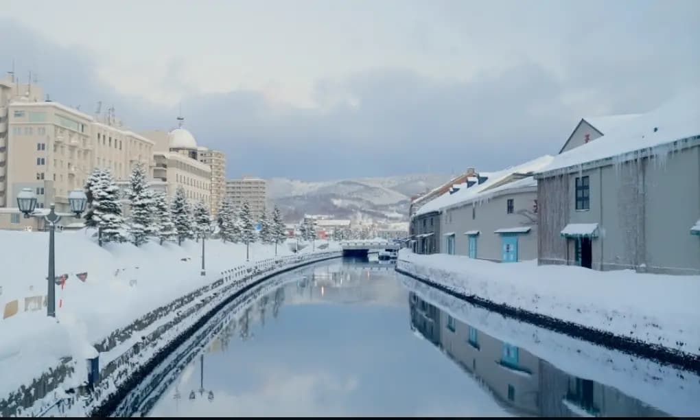 삿포로 3박 4일 여행 동행 구해요! ❄️