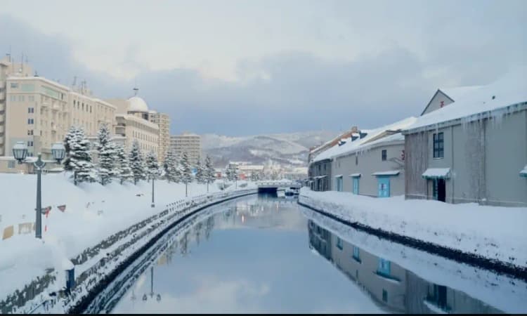 tripmate image